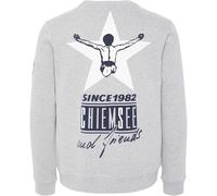 CHIEMSEE ZAYN NEW Sweater 2020 neutral grey - S