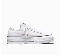 Converse - Ct as lift ox bianco 560251C