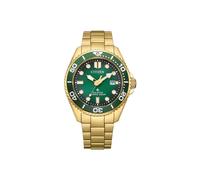 Citizen Quartz Eco-Drive BN0262-59W