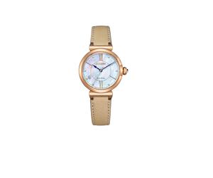 Citizen Damen Solar Uhr EM1073-18D NEW-2824