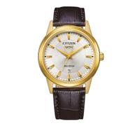 Citizen Eco-Drive Herrenuhr (AW0102-13AE)