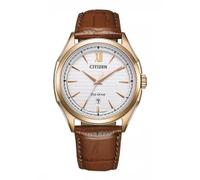 Citizen Eco-Drive Herrenuhr (AW1753-10A)