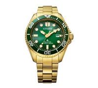 Citizen Promaster Marine Eco Drive Gold 40,5mm (BN0262-59W)