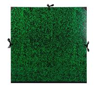 Clairefontaine 5x Zeichenmappe Annonay, Bandverschluss, 67x94cm für 56x76cm - Grün 33200C - grün 33200C