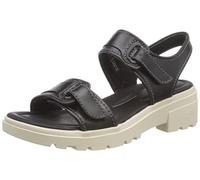 Clarks Coast Daisy