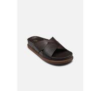 Clarks Shoes Torford Cross Sandalen (Herstellerartikelnummer: 26180888-BrownLeather-8)