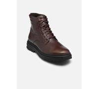 Clarks - Stiefeletten & Boots Badbury Hi WP - braun - Größe 42