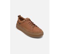 Clarks - Torhill Lace - Braun - Sneaker - Größe 42