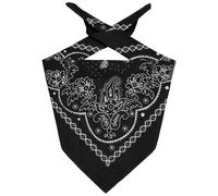 Classic Paisley Bandana by Levis® schwarz One Size