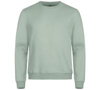 CLIQUE Miami Roundneck Sweatshirt 615 - sage green 4XL