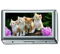 Close up Natur Winter Tiere Eichhörnchen Zigarettenetui / -schachtel Visitenkartenetui Edelstahlgehäuse Silber Metall Brieftasche Schutz