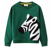 CM-Kid Pullover Jungen Langarmshirt Kinder Sweatshirts Frühling Herbst Winter Warm 4 5 Jahre Zebra Grün Gr.110