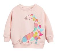 CM-Kid Sweatshirt Mädchen Langarm Pullover Kinder Shirts Baumwolle Dinosaurier Warm Tops 4 5 Jahre Giraffe Rosa Gr.110