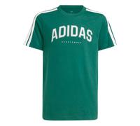 ADIDAS Kinder Shirt Codes Collegiate Graphic Kids (JI6675) 140 CGREEN