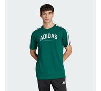 M C COLLEG TEE CGREEN XL