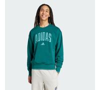 College Style Sweatshirt Collegiate Green / Powder Teal S