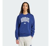 College Style Sweatshirt Dark Blue / White S