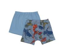 Colorful Dragon-Boxer - Walkiddy 122
