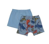 Colorful Dragon-Boxer - Walkiddy 134