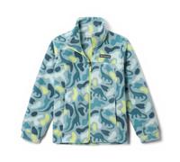 Columbia Youth Unisex Helvetia 2 Printed Half Snap Fleece Pull Over, Crushed Blue Sisters, Everblue, M