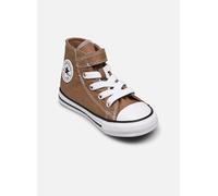 Converse - Chuck Taylor All Star 1V Canvas Seasonal - Braun - Sneaker - Größe 25