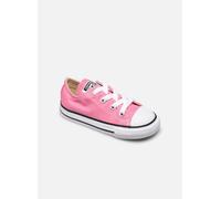 Converse - Chuck Taylor All Star Core Ox E - Rosa - Sneaker - Größe 23