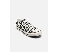 Converse - Chuck Taylor All Star Cow Ox - Mehrfarbig - Sneaker - Größe 39
