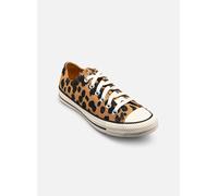 Converse CTAS Ox für Damen, animal, Größe 36 ½ EU