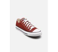 Converse - Chuck Taylor All Star Ox - Bordeaux - Sneaker - Größe 41