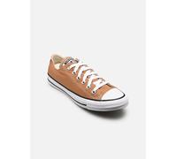 Converse Sneaker CHUCK TAYLOR ALL STAR in Gelb 39