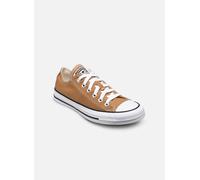 Converse - Chuck Taylor All Star Ox M - Gelb - Sneaker - Größe 42
