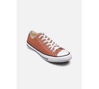 Converse - Chuck Taylor All Star Ox M - orange - Sneaker - Größe 42
