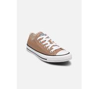 Converse - Chuck Taylor All Star Seasonal Color Ox - Braun - Sneaker - Größe 37
