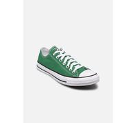 Converse - Chuck Taylor All Star Seasonal Color Ox - Grün - Sneaker - Größe 43