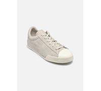 Converse - Chuck Taylor Lo Color Pop Ox - Grau - Sneaker - Größe 41
