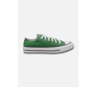 Converse CT OX - Sneaker low - grün - 37.5