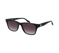 Converse Sonnenbrille CV535S 001 All Star – schwarze Acetat, Modified Rectangle, Einheitsgröße