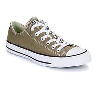 Converse Sneaker CHUCK TAYLOR ALL STAR in Braun 36