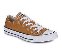 Converse Sneaker CHUCK TAYLOR ALL STAR in Gelb 37