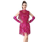 Cool&D Pailletten Tanzkleid Abendkleid Latin Kleid Tiered Quaste Flapper Kleid mit Quaste Halskette und Handschuhe