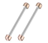 COOPHYA Uhrenschraubenrohr 2 Stück aus Metall 20mm Innendurchmesser Schraubenstangen zum Einschrauben für Uhrenarmband und Verschluss Geeignet für Uhrmacher und Juweliere