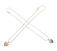 CORHAD 2 Stück Herzförmige Tierasche Halsketten aus Edelstahl mit Kleinem Aufbewahrungsbehälter Unisex Gedenkschmuck für Hunde und Katzen Erinnerungsanhänger mit Pfotenabdruck für