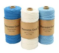 Coriver 3 Stück Makramee Garn, 3mm x 100m Macrame Cord, Makramee Schnur, Makrameegarn Kordel, Makramee Starter Set für DIY Handwerk Weben Dekoration Hängepflanze Pflanze Aufhänger (3. blau)