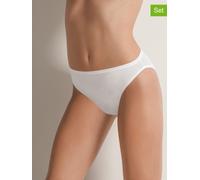 COTONELLA 6er-Set: Slips in Weiß - Größe XL | Damen Unterteile