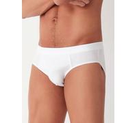 COTONELLA Slip in Weiß - Größe XL | Herren Waesche