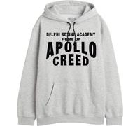 cotton division Herren-Kapuzenpullover, Grau meliert., XL