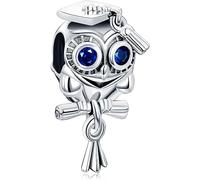 CQWVB Charm Anhänger Damen 925 Sterling Silber für Armband Charms Beads passend für Pandora Armband und Halskette, Kompatibel mit Europäischen Armbänder für Frauen Mädchen