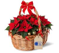 Creative Home Osterkörbchen Weihnachtskorb Picknickkorb Weidenkorb mit Henkel Einkaufskorb | 30 x 27 x 24 cm (+/- 1 cm) | Groß und Leicht | Naturbraun | Handgeflochten | Langlebig Geflochten