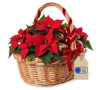 Creative Home Weihnachtskorb Picknickkorb Weidenkorb mit Henkel Einkaufskorb | 35 x 30 x 35 cm (+/- 1 cm) | Groß Leicht | Naturbraun | Handgeflochten | Universell Langlebig Geflochten | Osterkörbchen