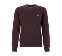 CREWNECKS SWEATERS MALE A S